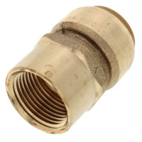Female Adapters