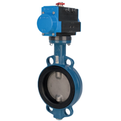 Bonomi Actuators & Valves