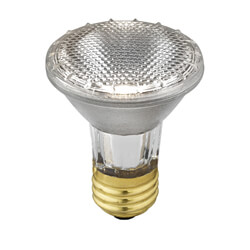 Halogen Lamps