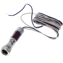 Mercury Flame Sensors