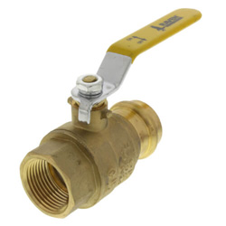 Ball Valves <br>(Press x FIP)