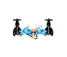 Watts 909 Cast Iron RPZ Assemblies