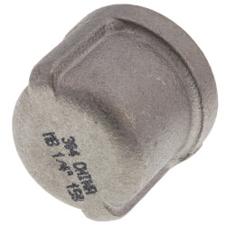 T304 1/4" Stainless Steel Cap Product Image