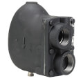 Product Image of WFT-125, 1" Float & Thermostatic Steam Trap