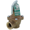 3/4" LF174A Lead Free Relief Valve (75lb)