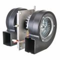 Product Image of Motor Assembly, 13555