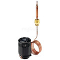 Product Image of RAVK Thermostatic Operator, 77–149°F