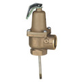 1" LF140X-6 Lead Free Relief Valve w/ Extension Thermostat