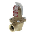 3/4" 174A Relief Valve (30lb)