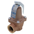 3/4" 174A Relief Valve (40lb)