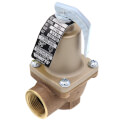 3/4" 174A Relief Valve (100lb)