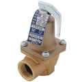 3/4" 174A Relief Valve (125lb)