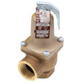 1" 174A Relief Valve (75lb)