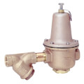 Product Image of 2" LF223S Lead Free High Capacity Pressure Valve w/ Strainer
