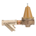 Product Image of 2-1/2" LF223S Lead Free Bronze High Capacity Pressure Valve w/ Strainer