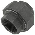 Product Image of 1-1/2" Black Union, Class 150