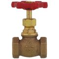 Product Image of 1/2" FNPT Globe Valve (Bronze)