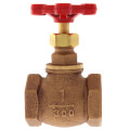 Product Image of 1" FNPT Globe Valve (Bronze)