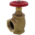 Product Image of 2" FNPT Globe Valve (Cast Brass)