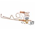 Product Image of Expansion Valve W/bleed Port, 611033