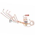 Product Image of Expansion Valve w/ Bleed Port, 611044