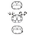 Product Image of Head Gasket Set, 06EA660104