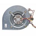 Product Image of Blower Assembly, AS-101931-01