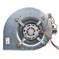 Product Image of Blower Assembly, AS-101931-04