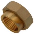 Product Image of 1" FNPT Tailpiece Kit