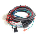 Product Image of Harness, Main, Cc 120-250, 100055085