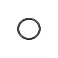 Product Image of Kit, O-ring, Jaso 1019, Viton, 100076491