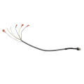 Product Image of Wiring Harness, 100109357