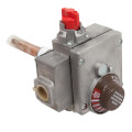 Product Image of LP Thermostat, 100109691