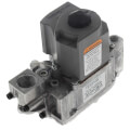 Product Image of Natural Gas Valve Kit, 100109834