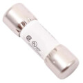 Product Image of Control Circuit Fuse, 100110609