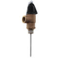 Product Image of 3/4", 150#, Temperature & Pressure Relief Valve, 100110714