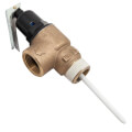 Product Image of 1", 150#, Temperature & Pressure Relief Valve, 100110739