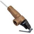 Product Image of 1", 150#, Temperature & Pressure Relief Valve, 100110880