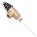Product Image of 1", 150#, Temperature & Pressure Relief Valve, 100110972