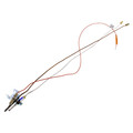 Product Image of Pilot Assembly WR Natural Gas with Tubing Kit, 100110984