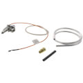 Product Image of Pilot Assembly, L.P. Gas (HSI Control Valves), 100111381