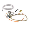 Product Image of Pilot Assembly, L.P. (HSI Control Valves), 100111382