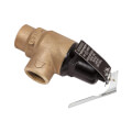 Product Image of 1", 125#, Temperature & Pressure Relief Valve, 100111604