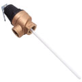 Product Image of Kit, T&p Valve, 1", 125psi, 100111722