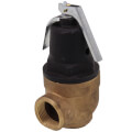 Product Image of Commercial Orientation Pressure Only Relief Valve, 1", 150#, 100111723