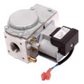 Product Image of Gas Control Valve, NG, 100111891