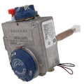 Product Image of Natural Gas Control Valve, 100112115