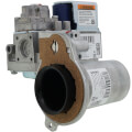 Product Image of Gas Valve Assembly, 100172003