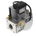 Product Image of Natural Gas Valve Assembly, 100172009