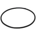 Product Image of Door Gasket, 100208093